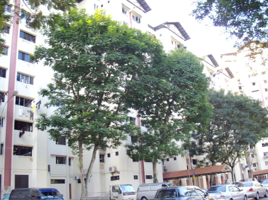 Jurong East Street 24 thumbnail photo